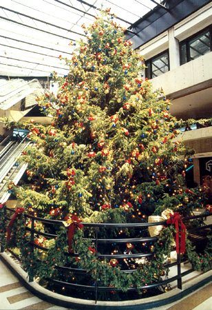 Large Christmas Tree in Mall