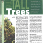 American Christmas Tree Journal Article (1 of 3)