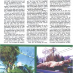 American Christmas Tree Journal Article (2 of 3)